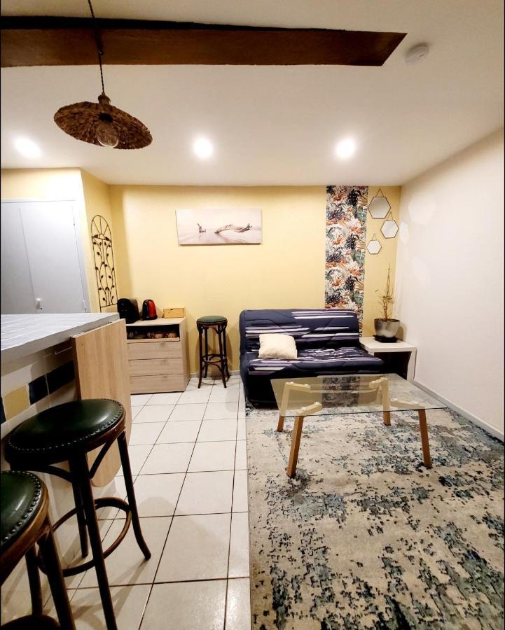 Appartements Miawe Tarbes Bagian luar foto